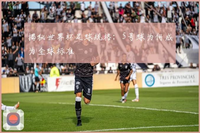 揭秘世界杯足球规格：5号球为何成为全球标准