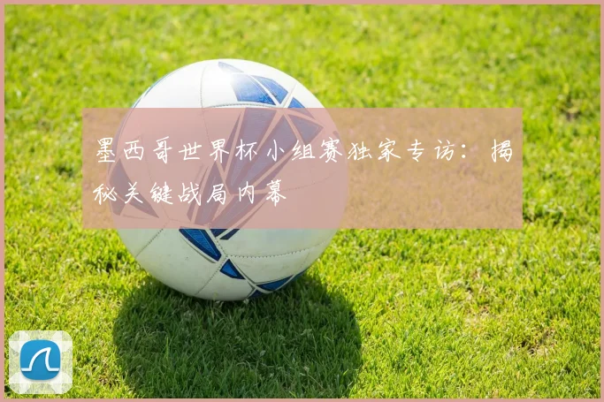 墨西哥世界杯小组赛独家专访：揭秘关键战局内幕
