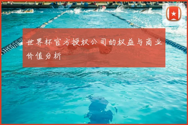 世界杯官方授权公司的权益与商业价值分析