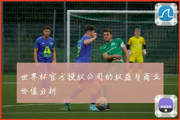 世界杯官方授权公司的权益与商业价值分析
